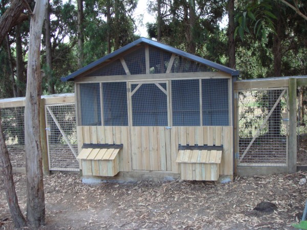 Denny Yam Plans For Chook Shed Guide Denny Yam Plans For Chook Shed Guide