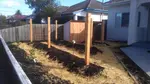 Establishing an espaliered yard & garden shed designed and built by Yummy Gardens Melbourne