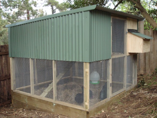 two tier hen house and run by Yummy Gardens