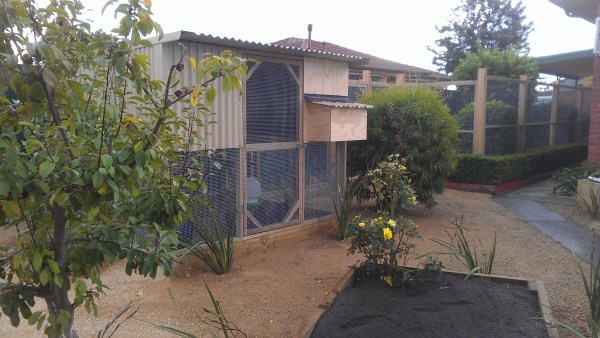 2 tier chicken house with run by Yummy Gardens Melbourne