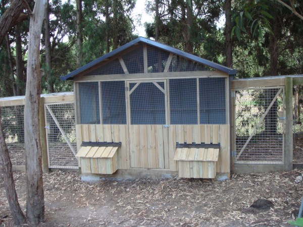 how to build a chook pen ~ diy chicken coop from plans