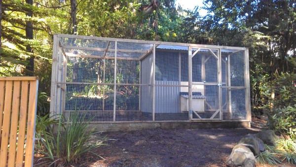 chook house with front and side run by Yummy Gardens Melbourne