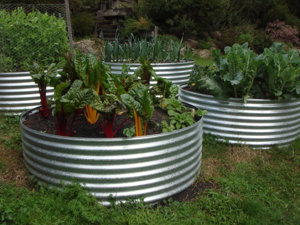 earth ring vegetable garden by Yummy Gardens Melbourne
