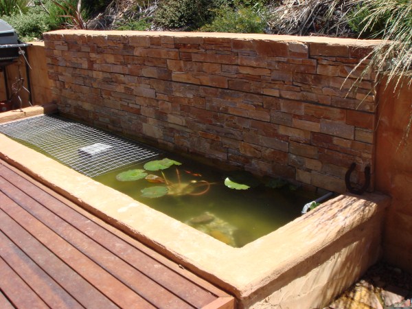 fish pond designed & built by Yummy Gardens Melbourne