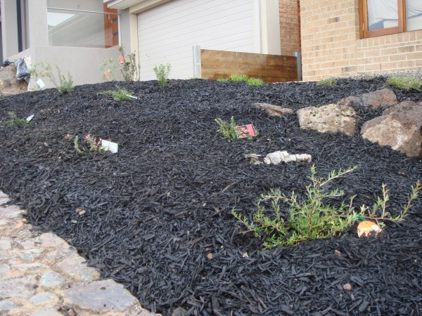 newly landscaped garden bed by Yummy Gardens Melbourne