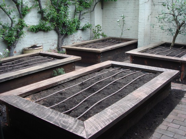 ironbark raised beds with irrigation in courtyard by Yummy Gardens Melbourne