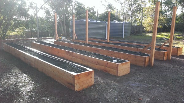 Raised beds designed for growing berries by Yummy Gardens Melbourne