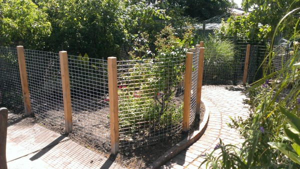 Angled garden fence by Yummy Gardens Melbourne
