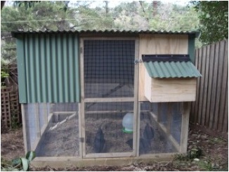 double story chook house