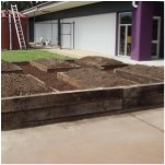 new scjhool veggie patch