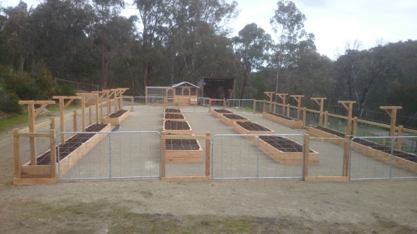 Raised veggie garden on an old menage & chook house designed & built by Yummy Gardens Melbourne
