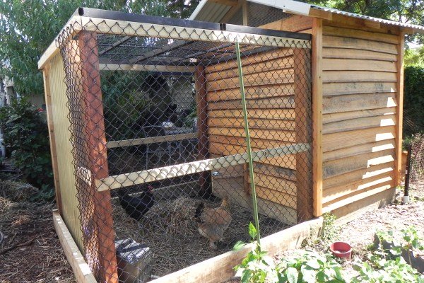 radial sawn timber chook house by Yummy Gardens Melbourne