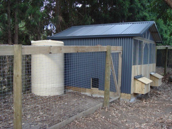 chook house with run and tank by Yummy Gardens Melbourne