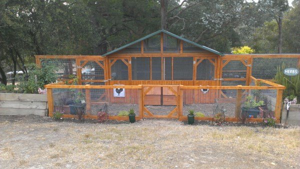 Chicken home and run designed and built by Yummy Gardens Melbourne