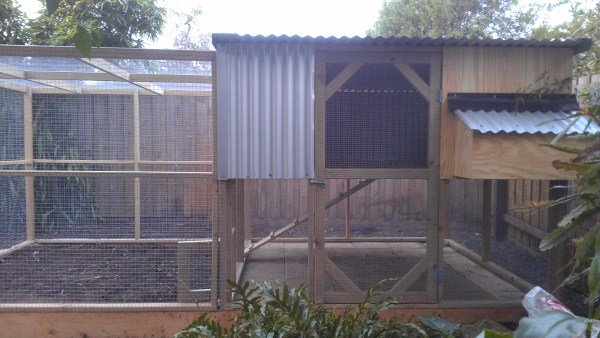 chicken house two tiered by Yummy Gardens Melbourne