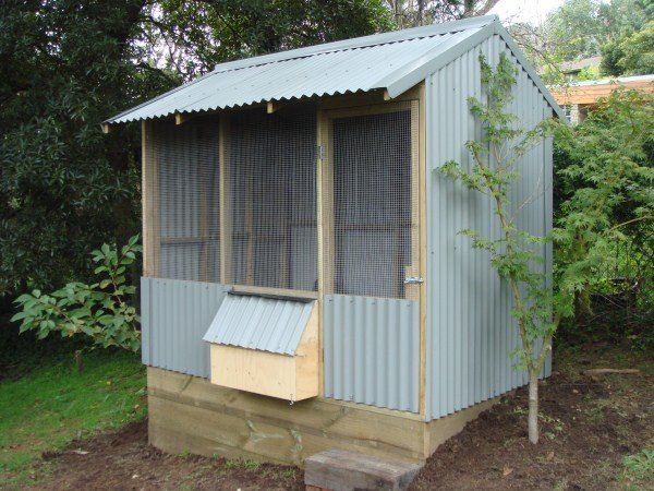 colorbond chicken house by Yummy Gardens
