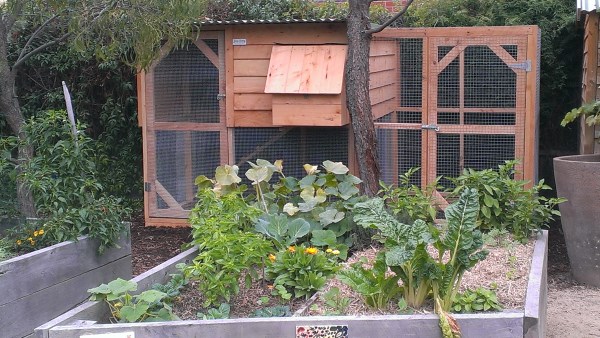 Community Garden chook house designed and built by Yummy Gardens Melbourne