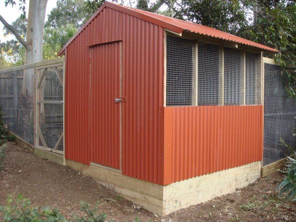 colorbond chook house by Yummy Gardens