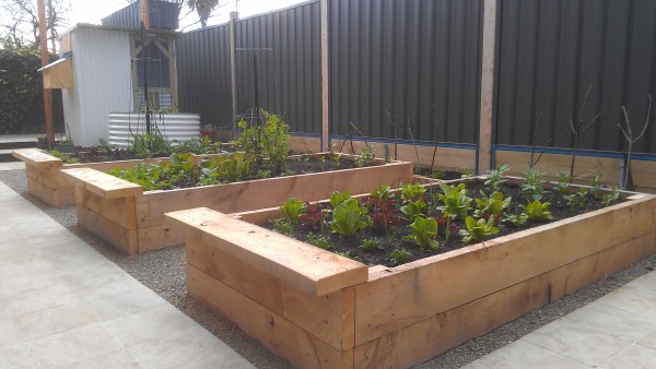 cypress veggie beds by Yummy Gardens Melbourne