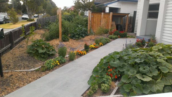 Garden shed designed & built by Yummy Gardens Melbourne