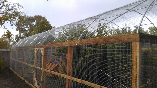 chookhouse and fruit trees by Yummy Gardens Melbourne