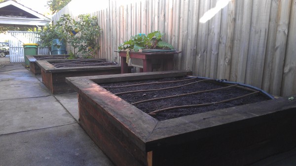 ironbark veggie beds along driveway by Yummy Gardens Melbourne