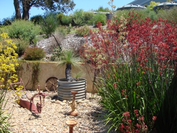 Native Garden designed & built by Yummy Gardens Melbourne