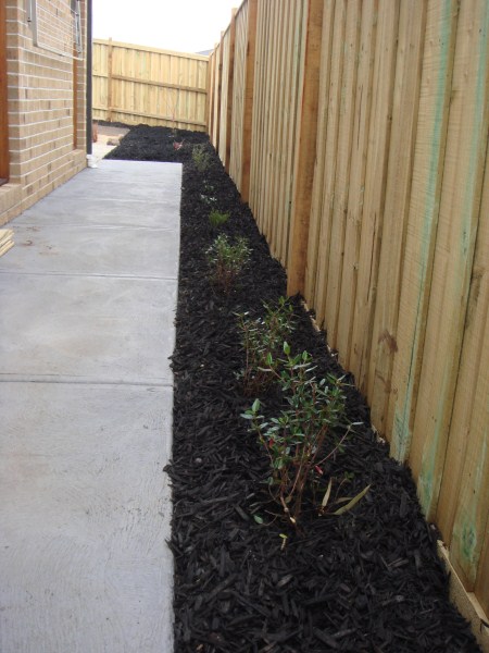 newly planted and mulched sideway by Yummy Gardens Melbourne