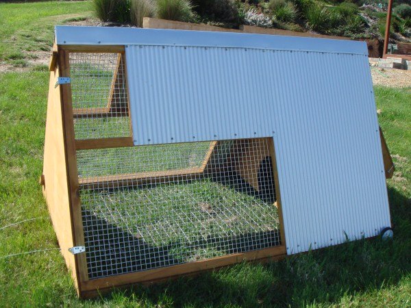 portable chicken tractor by Yummy Gardens