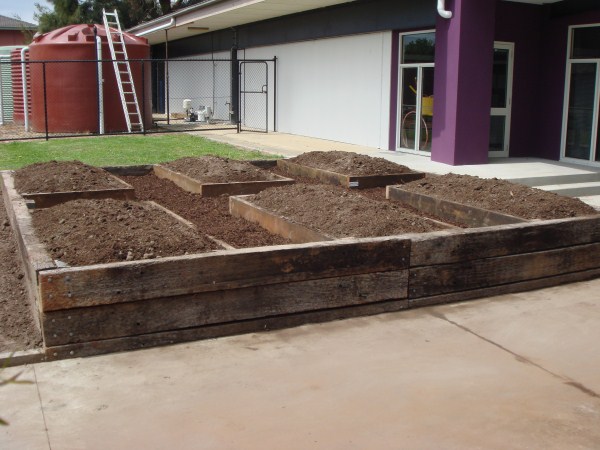 raised veggie patch at primary school in Melbourne