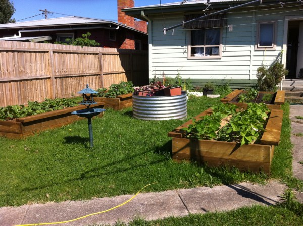 raised veggie beds with seats by Yummy Gardens Melbourne