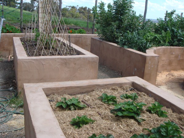 rendered block veggie garden Yummy Gardens Melbourne