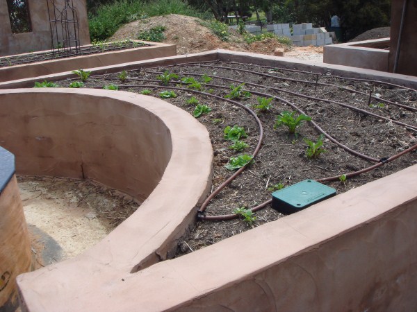 rendered block wall veggie garden Yummy Gardens Melbourne