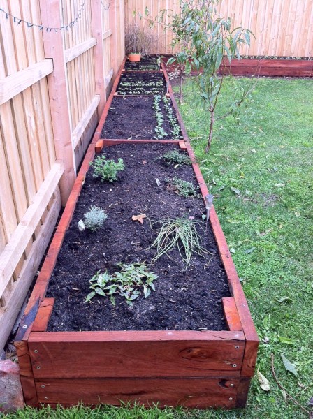 stained L shaped veggie beds by Yummy Gardens Melbourne