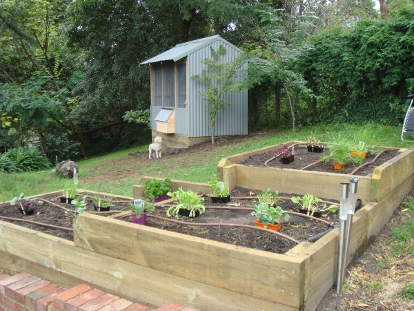 tri level veggie beds by Yummy Gardens Melbourne