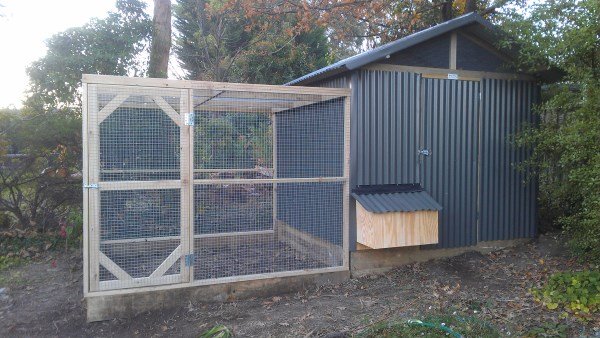Back of chook house & run by Yummy Gardens Melbourne