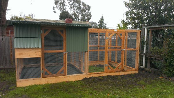 Chicken coop and run by Yummy Gardens Melbourne