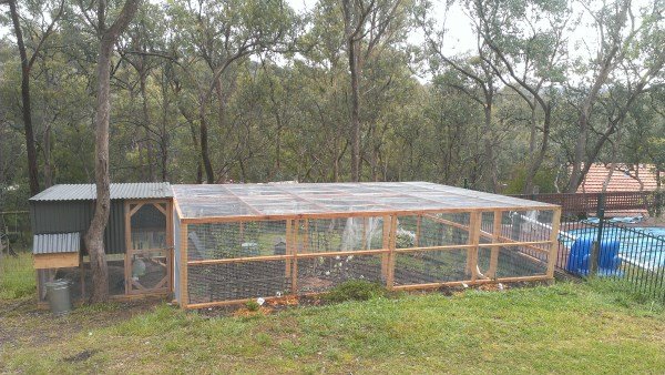 Chicken house with large secure run designed and built by Yummy Gardens Melbourne