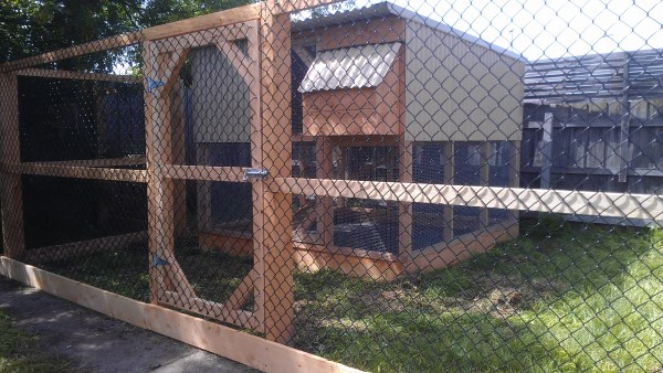 Chook house inside run area designed and built by Yummy Gardens Melbourne
