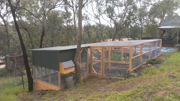 Chook house and large secure run built on slope by Yummy Gardens Melbourne
