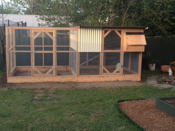 Compact cypress chicken house and run by Yummy Gardens Melbourne