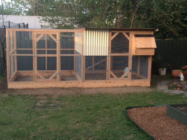 Compact cypress chicken house and run by Yummy Gardens Melbourne