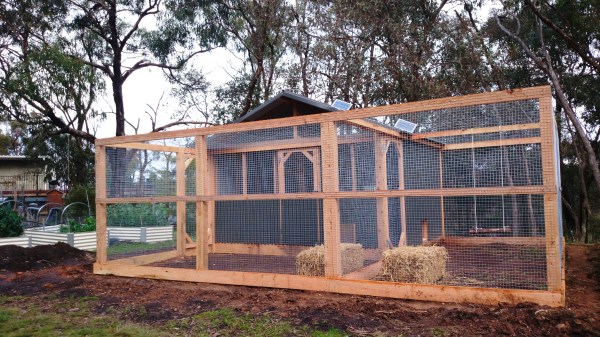 Double chicken run by Yummy Gardens Melbourne