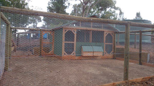Double sided chicken house with enclosed run by Yummy Gardens Melbourne