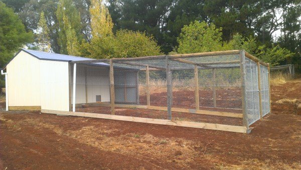 Dual chook run designed and built by Yummy Gardens Melbourne