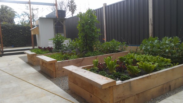 Established cypress veggie beds & small chook house by Yummy Gardens Melbourne