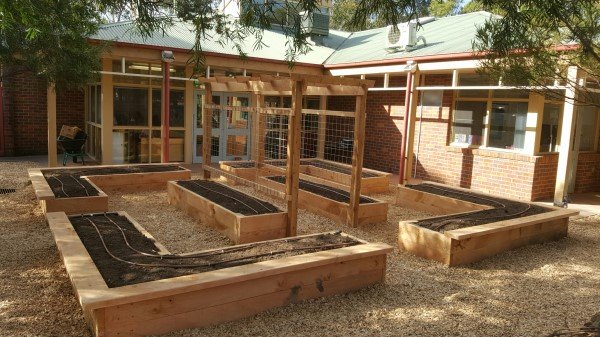 kindergarten veggie garden designed & built by Yummy Gardens Melbourne