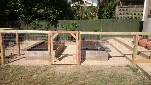 new fenced off area with raised veggie beds by Yummy Gardens Melbourne
