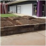 new scjhool veggie patch