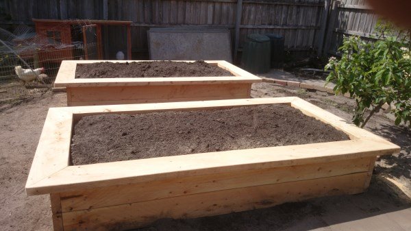 newly completed cypress veggie beds by Yummy Gardens Melbourne